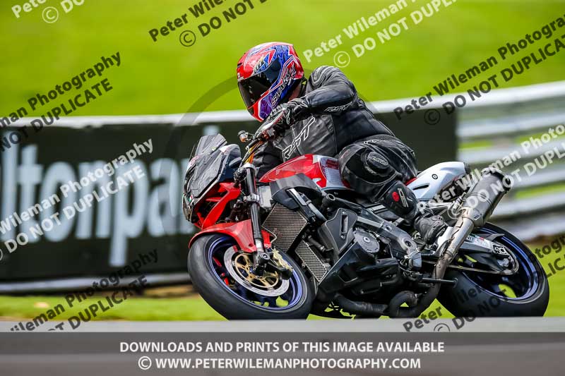 PJ Motorsport 2019;anglesey;brands hatch;cadwell park;croft;donington park;enduro digital images;event digital images;eventdigitalimages;mallory;no limits;oulton park;peter wileman photography;racing digital images;silverstone;snetterton;trackday digital images;trackday photos;vmcc banbury run;welsh 2 day enduro